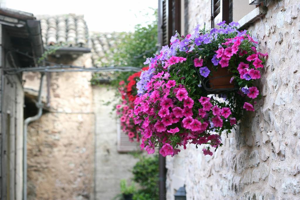 Hotel Palazzo Brunamonti Bevagna Dış mekan fotoğraf