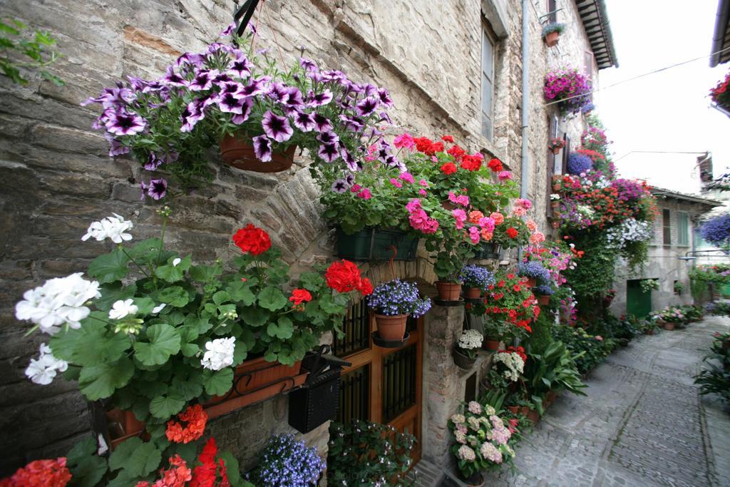 Hotel Palazzo Brunamonti Bevagna Dış mekan fotoğraf